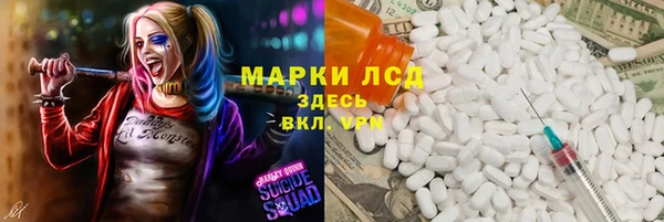 прущие грибы Баксан