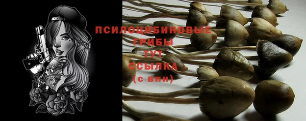 экстази Арсеньев