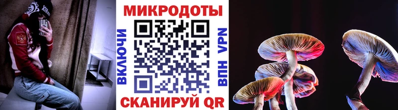 Псилоцибиновые грибы Cubensis Купить Слободской